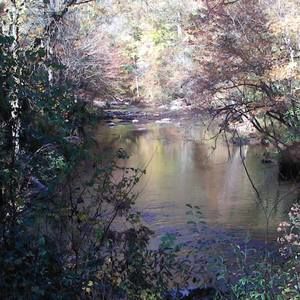 Meet your Posher, Kathy kulp